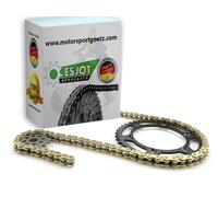 Kit Catena Per SMC Titan 300 / Captain 300 High Speed Z.14/36