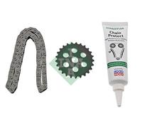 Kit catena pompa olio 558 0047 10 INA per BMW MORGAN ALPINA WIESMANN