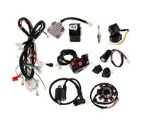 Kit Cavi CDI Motore Eurowagens Con Spool Per ATV 150cc 250cc