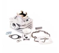 Kit cilindro AIRSAL 50 CCM Sport Piaggio NRG mc³ (Cat) DT 50 AC