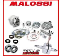 KIT CILINDRO + ALBERO MALOSSI MHR TEAM REPLICA D.50 77CC DERBI Senda X-TREME SM