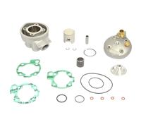 Gruppo Termico ATHENA Big Bore Con Testata 47,6mm-70cc-CompresS 14 P400130100001