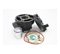 Kit Cilindro Completo Ferro TOP PERFORMANCES 49cc Minarelli am6