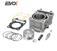 KIT CILINDRO E PISTONE EVOK d.58 HONDA FES 150 A S-WING ABS 2007 2008 2009