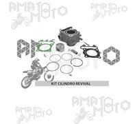 KIT CILINDRO E PISTONE MADE IN TAIWAN REVIVAL PER HONDA SH125 RA 125 2010