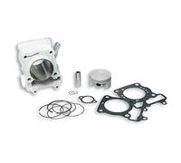 Kit cilindro MALOSSI Sport 169 CCM - HONDA Passion PES/Ps 150i 4T (2007)