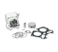 Kit cilindro Malossi Sport 169cc per Honda SH/Dylan/Passion/S-wing 150cc LC