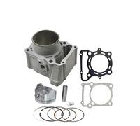 Kit Cilindro Parti del Motore della Motocicletta Kit pistone Blocco Cilindro Aria Kit Guarnizione Base Testata Adatto per Kawasaki KLX250 1993-2018 KLX300 Kit pistone Cilindro