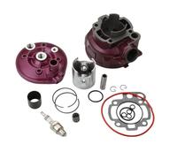 Kit cilindro pistone albero motore Kit cilindro Big Bore da 49 mm 90 cc e testa adatta per Motorhispania RX RYZ SM Pro Racing Superracing 50 2T AM6 Kit di modifica cilindro moto