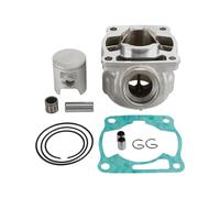 KIT CILINDRO PISTONE GUARNIZIONI 85CC PER YAMAHA YZ 80 85 YZ80 YZ85 1993-2018 S1