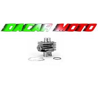 Kit Cilindro Pistone PIAGGIO FREE 50 2T / SFERA 50 2T