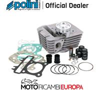 Kit Cilindro Polini Alluminio Ø49Mm Per Moto Ricambi Ciclomotore Accessori