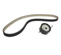 Kit cinghia di distribuzione per BMW Z4 (E89); FORD B-MAX, C-MAX II, ECOSPORT