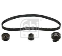 FEBI BILSTEIN 11025 Kit cinghia di distribuzione