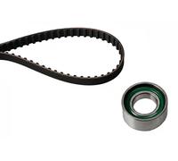 Set di cinghie di distribuzione INA 530 0009 10