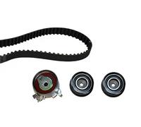 Set di cinghie di distribuzione INA 530 0049 10