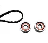 Ina 530007310 Kit Tendicinghia
