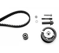 Kit distribuzione diesel INA VW 1.9D 530008510