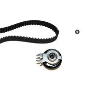 Set di cinghie di distribuzione INA 530 0167 10