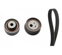 Ina 530030710 Kit Tendicinghia
