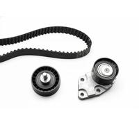 Ina 530033210 Kit Tendicinghia