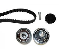 Set di cinghie di distribuzione INA 530 0364 10