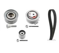 Set di cinghie di distribuzione INA 530 0463 10