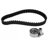 Ina 530051210 Kit Tendicinghia
