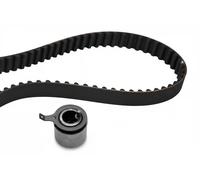 Ina 530052010 Kit Tendicinghia