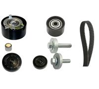 INA Kit cinghia dentata 530063910 kit distribuzione 132 denti 27,4 mm