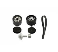Kit Distribuzione INA - 530064010