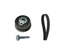 INA 530 0839 10 Kit cinghia di distribuzione