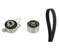 INA 530 0840 10 Kit cinghia di distribuzione