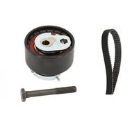 Ina 530 0850 10 Kit Cinghia Distribuzione per Land Rover Discovery IV V