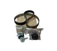 Kit Cinghia Distribuzione con Pompa acqua Originale Renault Clio IV 2014 1.5 dci