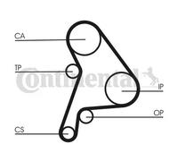 Kit cinghia distribuzione CT1012K1 CONTINENTAL CTAM per VW SKODA SEAT