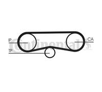 CONTINENTAL CTAM CT1018K1 Kit cinghie dentate per AUDI,SKODA,VW