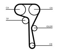CONTITECH CT1167K8 Kit cinghia di distribuzione