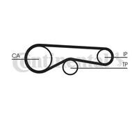 ContiTech Kit cinghia distribuzione CT1239K1 - per Citroën C6 3 (2009-2012), Jaguar, Peugeot
