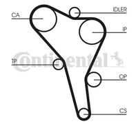Kit cinghia distribuzione CT867K4 CONTINENTAL CTAM per AUDI VW SEAT