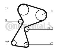 CONTITECH CT949K2 Kit cinghie dentate