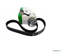 INA 530 0201 10 - Kit Cinghie Dentate