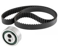 NTN-SNR Kit cinghia di distribuzione KD459.06 per Citroën e Peugeot