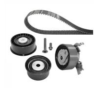 DAYCO Kit cinghie dentate KTB252