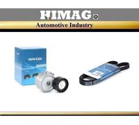 Kit Cinghia Servizi Alternatore per Fiat Panda 169 1.4 100 Hp