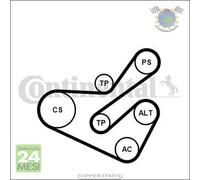 Kit Cinghia Servizi Con Tenditore ContinentalCtam per CITROEN BERLINGO EVASI #mp
