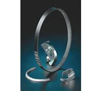 Ina 534 269 10 Tendicinghia