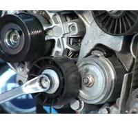 KIT CINGHIA SERVIZI+DAMPER FOR FIAT BRAVO II (198) 1.9 D MULTIJET MOT. 192A8000