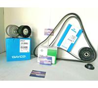 Set di cinghie Poly-V INA 529 0498 10