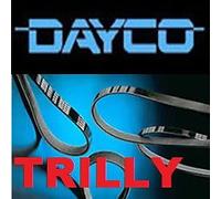 KIT CINGHIA SERVIZI+PULEGGIA ALT VW CADDY III 2.0EcoFuel 80Kw-BSX 04/06->05/15